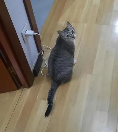 Sam * فيتوريا غاستيِز